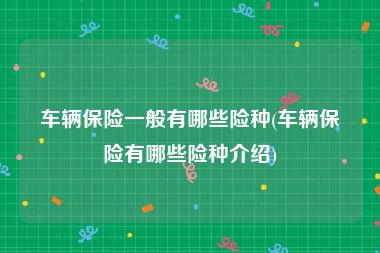 车辆保险一般有哪些险种(车辆保险有哪些险种介绍)