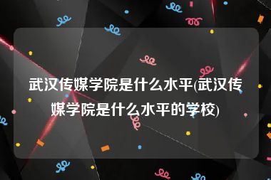 武汉传媒学院是什么水平(武汉传媒学院是什么水平的学校)