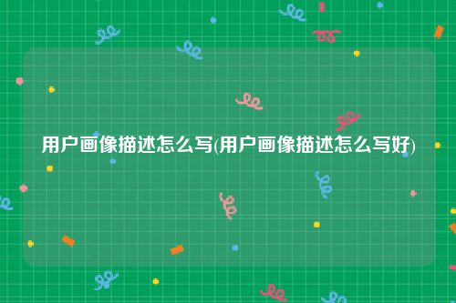 用户画像描述怎么写(用户画像描述怎么写好)