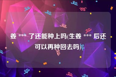 姜 *** 了还能种上吗(生姜 *** 后还可以再种回去吗)