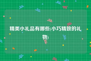 精美小礼品有哪些(小巧精致的礼物)