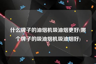 什么牌子的油烟机吸油烟更好(哪个牌子的吸油烟机吸油烟好)