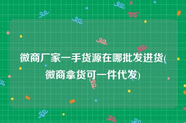 微商厂家一手货源在哪批发进货(微商拿货可一件代发)