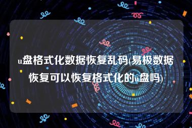 u盘格式化数据恢复乱码(易极数据恢复可以恢复格式化的u盘吗)