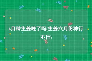6月种生姜晚了吗(生姜六月份种行不行)