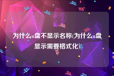 为什么u盘不显示名称(为什么u盘显示需要格式化)