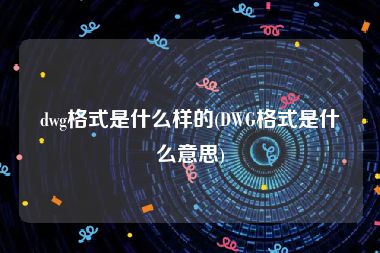dwg格式是什么样的(DWG格式是什么意思)