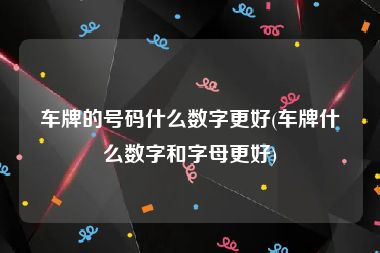 车牌的号码什么数字更好(车牌什么数字和字母更好)