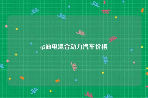 q5油电混合动力汽车价格