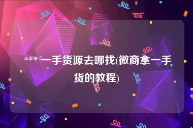  *** 一手货源去哪找(微商拿一手货的教程)