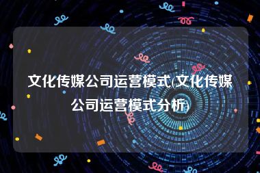 文化传媒公司运营模式(文化传媒公司运营模式分析)