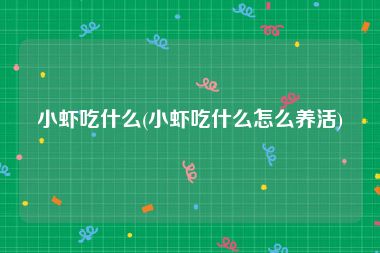 小虾吃什么(小虾吃什么怎么养活)