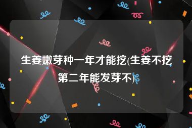 生姜嫩芽种一年才能挖(生姜不挖第二年能发芽不)