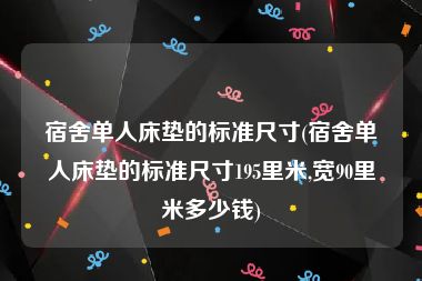 宿舍单人床垫的标准尺寸(宿舍单人床垫的标准尺寸195里米,宽90里米多少钱)