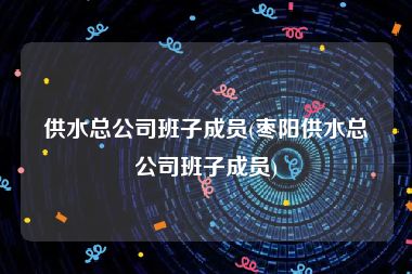 供水总公司班子成员(枣阳供水总公司班子成员)