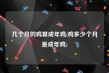 几个月的鸡算成年鸡(鸡多少个月是成年鸡)