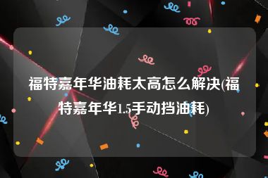 福特嘉年华油耗太高怎么解决(福特嘉年华1.5手动挡油耗)