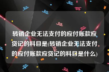 转销企业无法支付的应付账款应贷记的科目是(转销企业无法支付的应付账款应贷记的科目是什么)