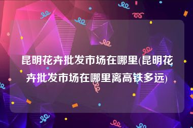 昆明花卉批发市场在哪里(昆明花卉批发市场在哪里离高铁多远)