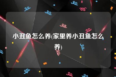 小丑鱼怎么养(家里养小丑鱼怎么养)