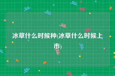冰草什么时候种(冰草什么时候上市)