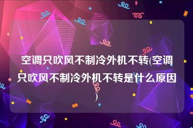 空调只吹风不制冷外机不转(空调只吹风不制冷外机不转是什么原因)