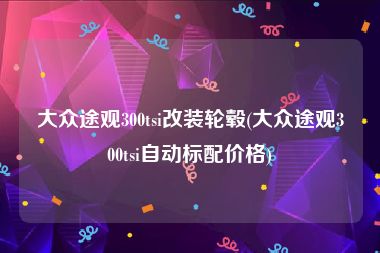 大众途观300tsi改装轮毂(大众途观300tsi自动标配价格)
