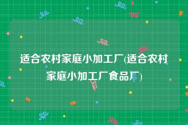 适合农村家庭小加工厂(适合农村家庭小加工厂食品厂)
