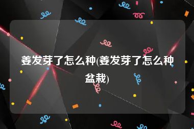 姜发芽了怎么种(姜发芽了怎么种盆栽)