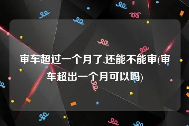 审车超过一个月了,还能不能审(审车超出一个月可以吗)