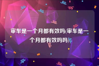 审车是一个月都有效吗(审车是一个月都有效吗吗)