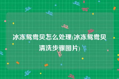 冰冻鸳鸯贝怎么处理(冰冻鸳鸯贝清洗步骤图片)