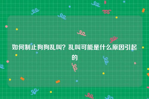 如何制止狗狗乱叫？乱叫可能是什么原因引起的