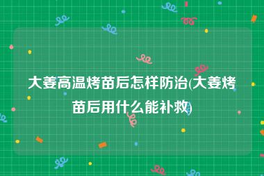 大姜高温烤苗后怎样防治(大姜烤苗后用什么能补救)