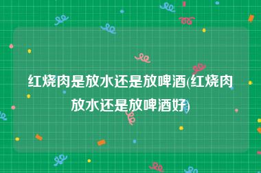 红烧肉是放水还是放啤酒(红烧肉放水还是放啤酒好)