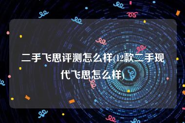 二手飞思评测怎么样(12款二手现代飞思怎么样)