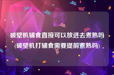 破壁机辅食直接可以放进去煮熟吗(破壁机打辅食需要提前煮熟吗)