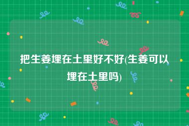 把生姜埋在土里好不好(生姜可以埋在土里吗)