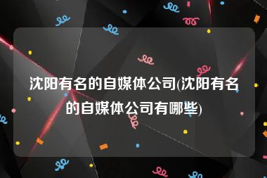沈阳有名的自媒体公司(沈阳有名的自媒体公司有哪些)