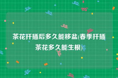 茶花扦插后多久能移盆(春季扦插茶花多久能生根)