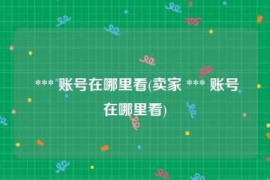  *** 账号在哪里看(卖家 *** 账号在哪里看)