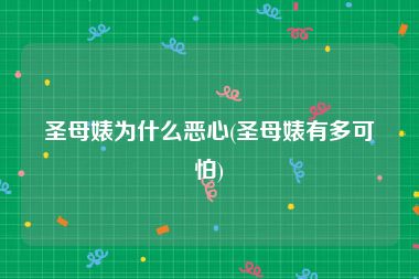 圣母婊为什么恶心(圣母婊有多可怕)