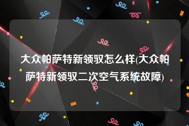 大众帕萨特新领驭怎么样(大众帕萨特新领驭二次空气系统故障)