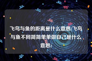 飞鸟与鱼的距离是什么意思(飞鸟与鱼不同简简单单做自己是什么意思)