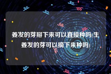 姜发的芽掰下来可以直接种吗(生姜发的芽可以摘下来种吗)