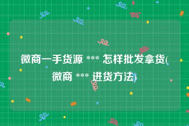 微商一手货源 *** 怎样批发拿货(微商 *** 进货方法)