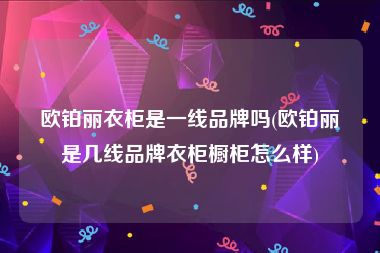 欧铂丽衣柜是一线品牌吗(欧铂丽是几线品牌衣柜橱柜怎么样)