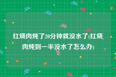 红烧肉炖了20分钟就没水了(红烧肉炖到一半没水了怎么办)