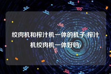 绞肉机和榨汁机一体的机子(榨汁机绞肉机一体好吗)