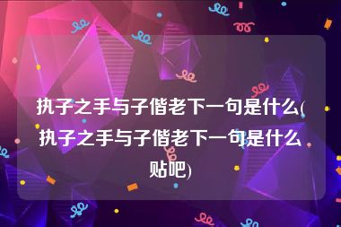 执子之手与子偕老下一句是什么(执子之手与子偕老下一句是什么贴吧)